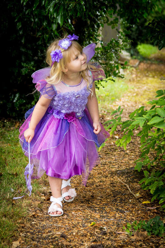 Amethyst Fairy & Princess Set - 3 to 4 years