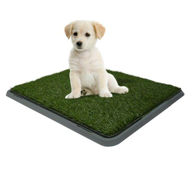 Dog Toilet - Small