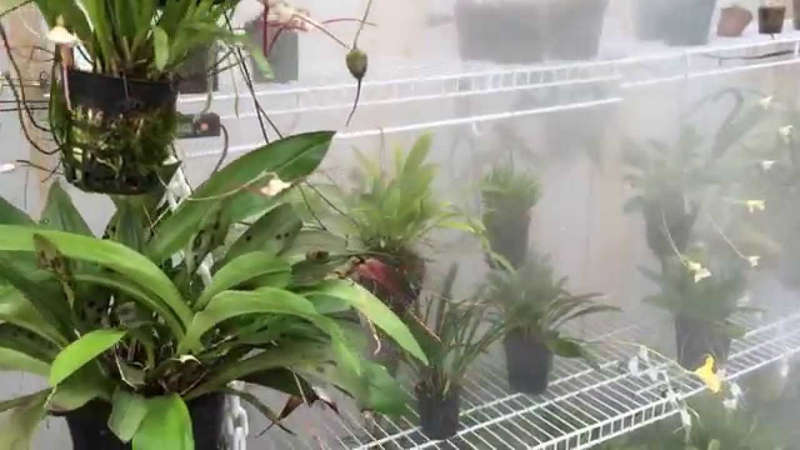 Patio Misting Cooling Watering System 10M Outdoors Gardens