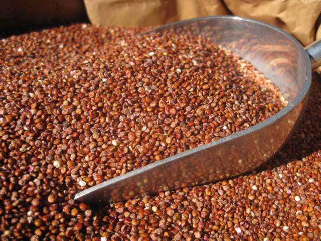 Quinoa Red 5Kg FREE delivery