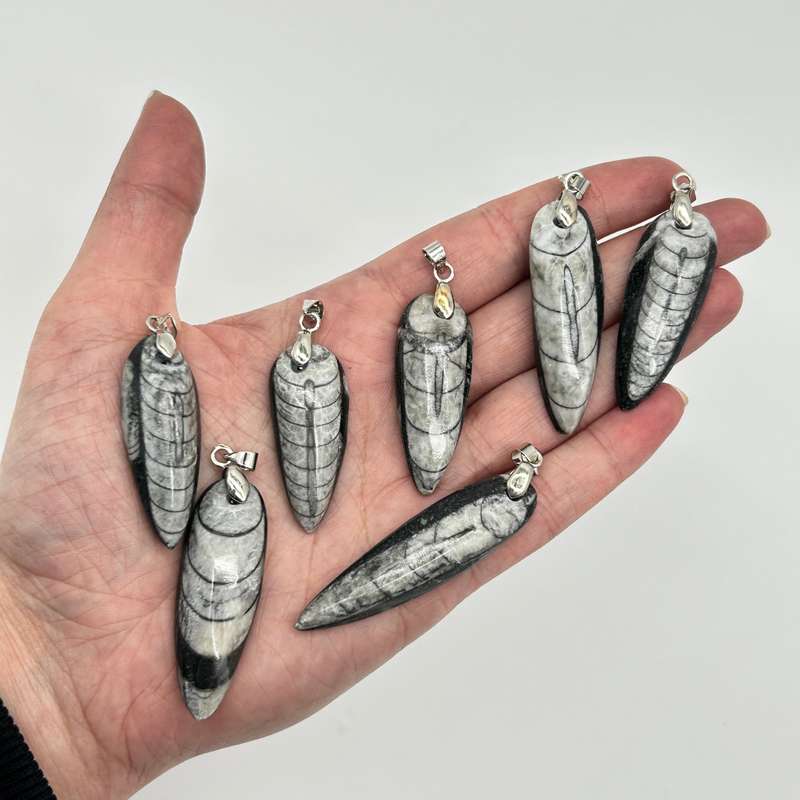 Trilobite Crystal Pendant