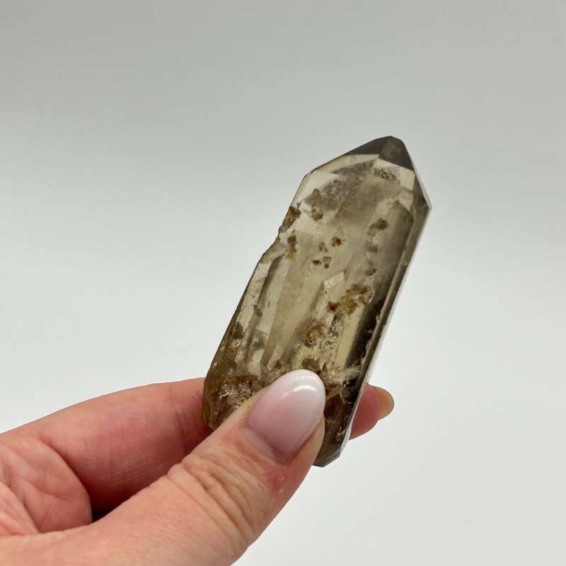 Tabby Dolphin Smoky Quartz