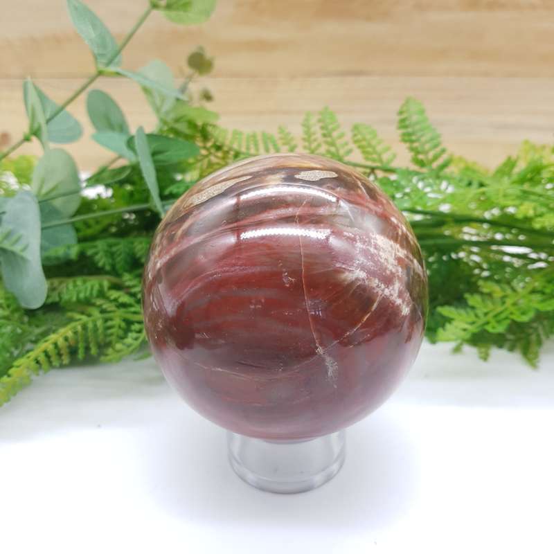 Petrified Wood Sphere