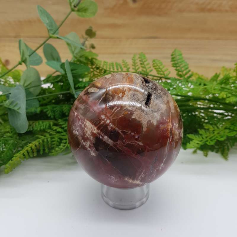Petrified Wood Sphere