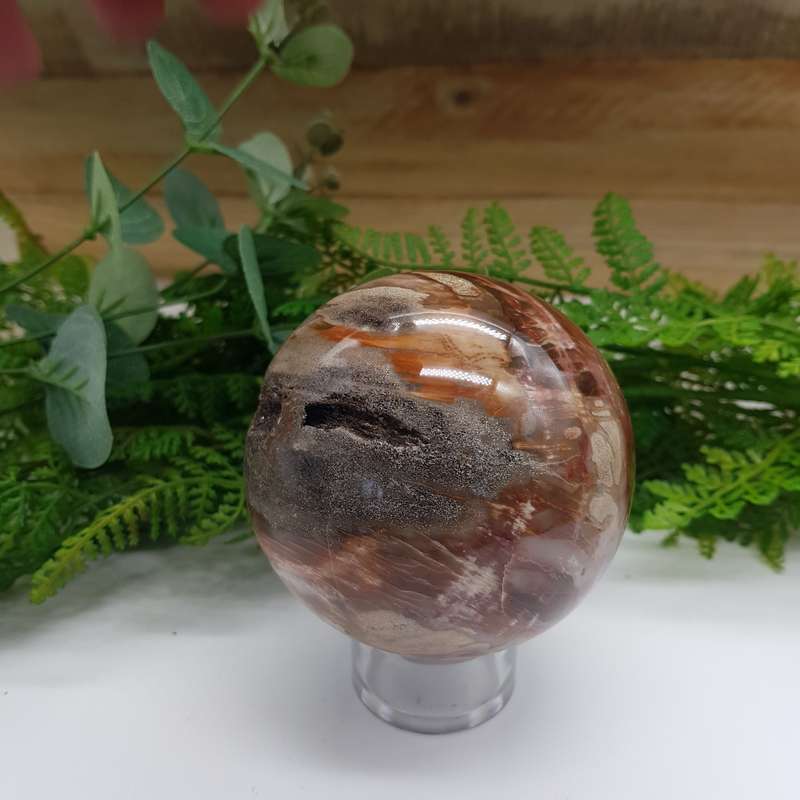 Petrified Wood Sphere