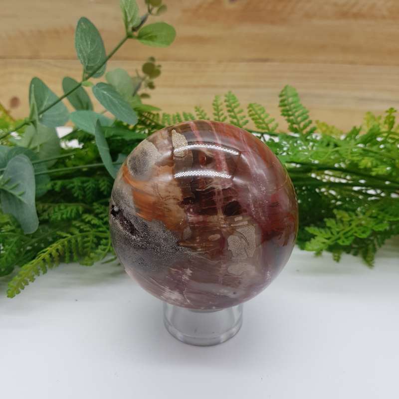 Petrified Wood Sphere
