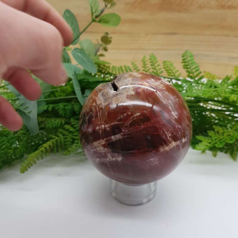 Petrified Wood Sphere
