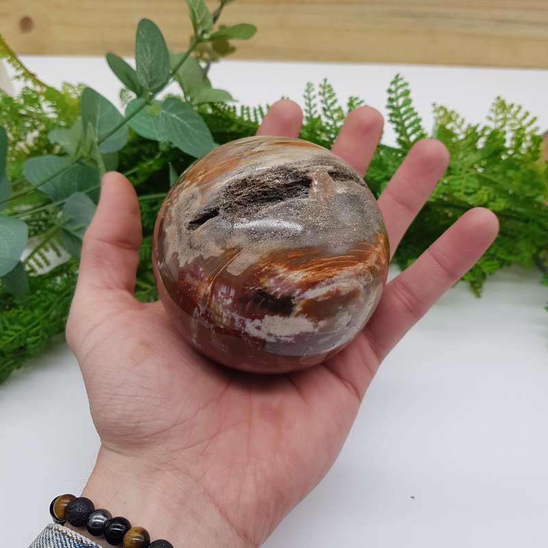 Petrified Wood Sphere