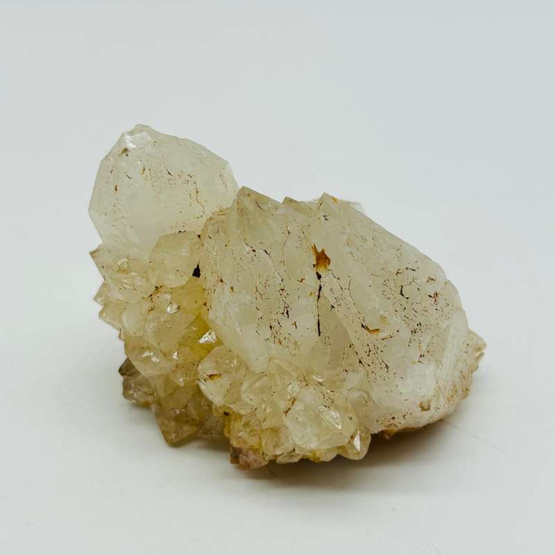 King White Cactus Quartz