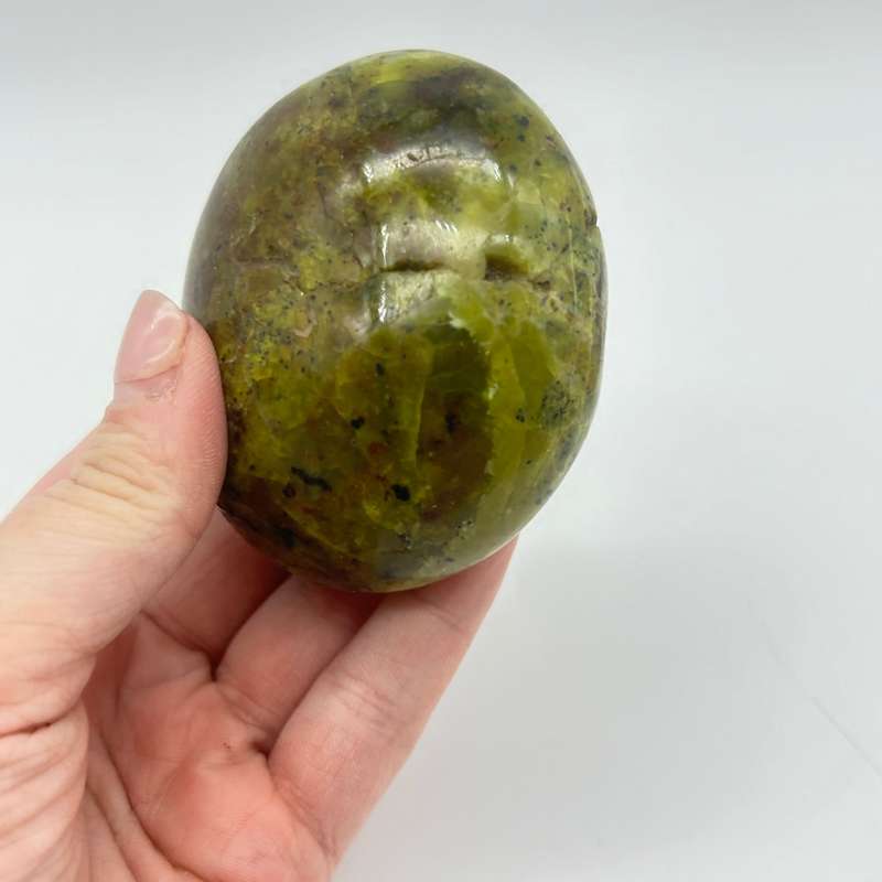 Green Opal Palm Stone From Madagascar