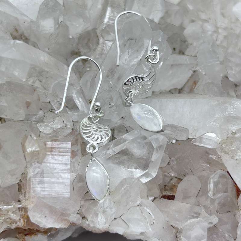 Sterling Silver Moonstone Shell Earrings