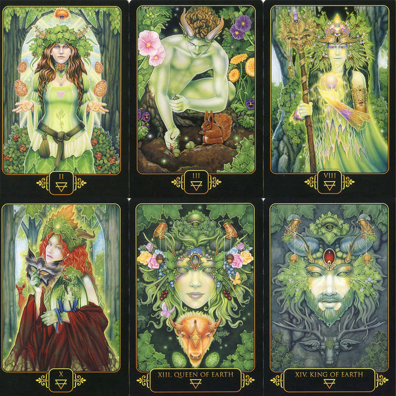Dreams of Gaia Tarot: A Tarot for a New Era by Ravynne Phelan