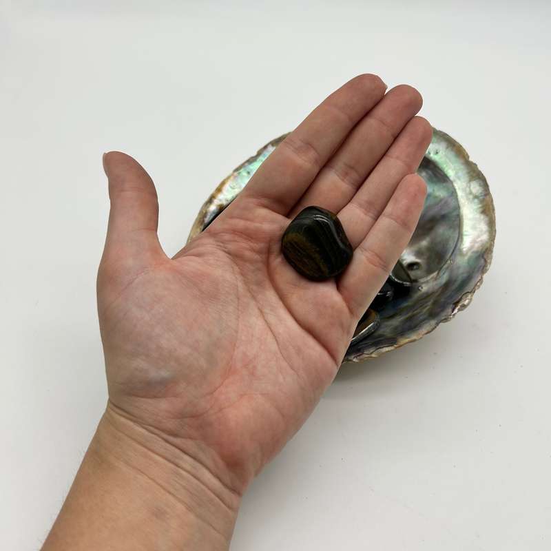 Multi Tigers Eye
