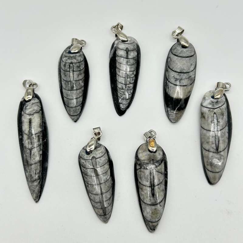 Trilobite Crystal Pendant