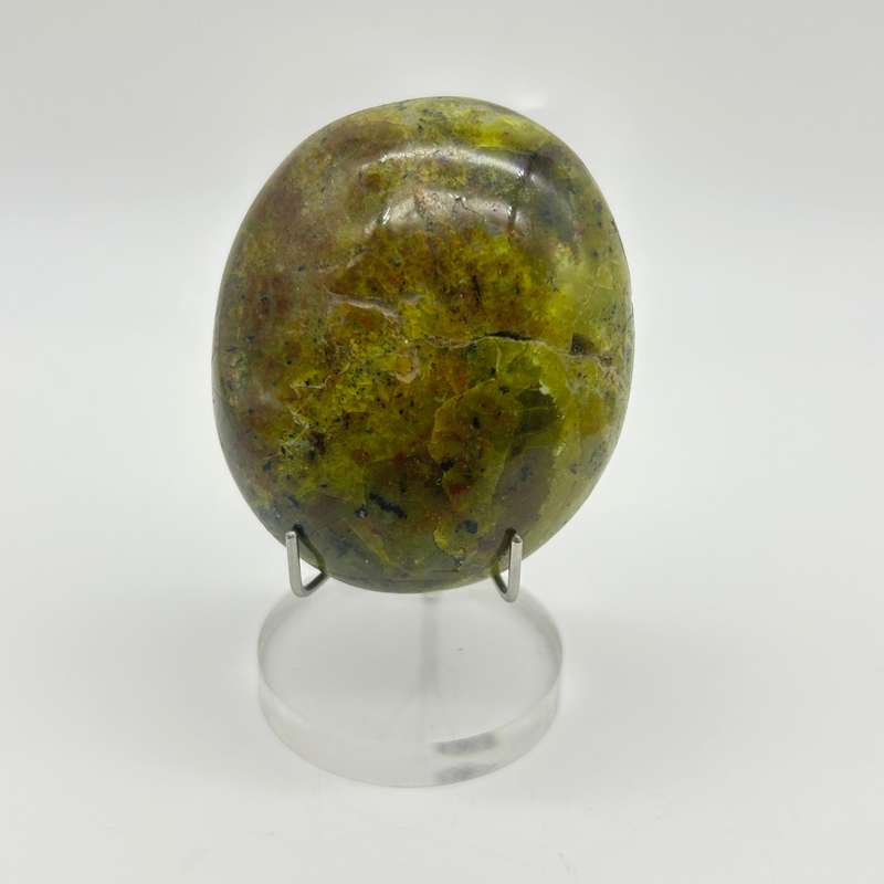 Green Opal Palm Stone From Madagascar