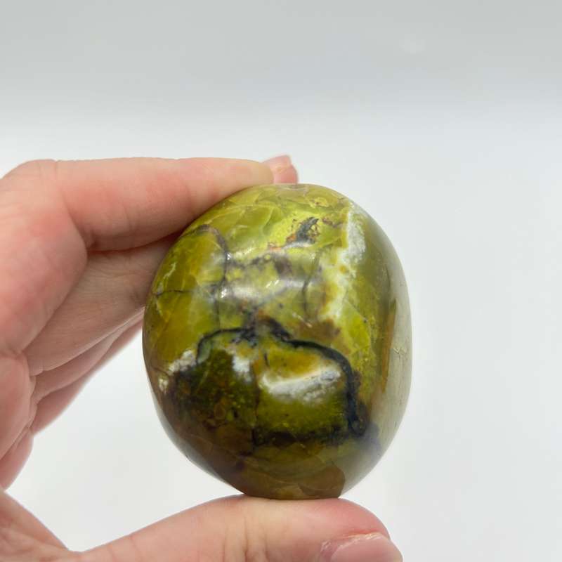 Green Opal Palm Stone From Madagascar
