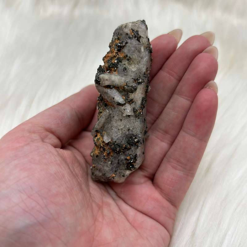 Witches Finger