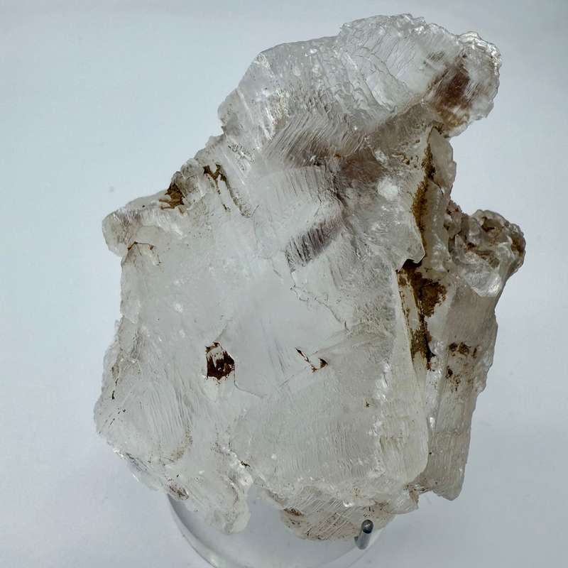 Fishtail Selenite Quartz Crystal -Africa