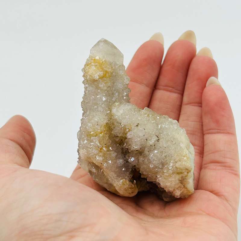 Cactus Quartz