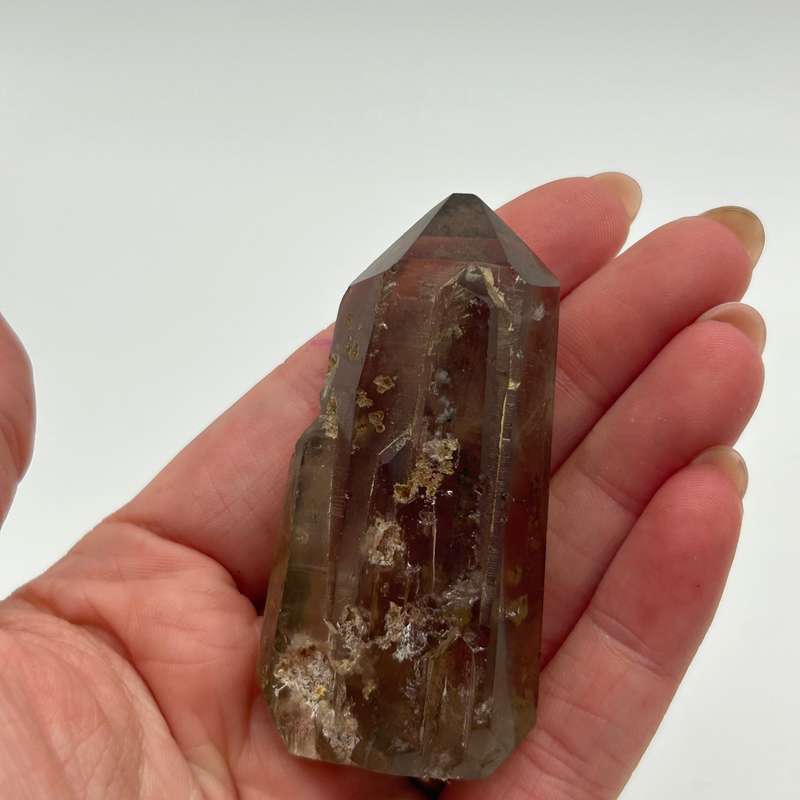 Tabby Dolphin Smoky Quartz