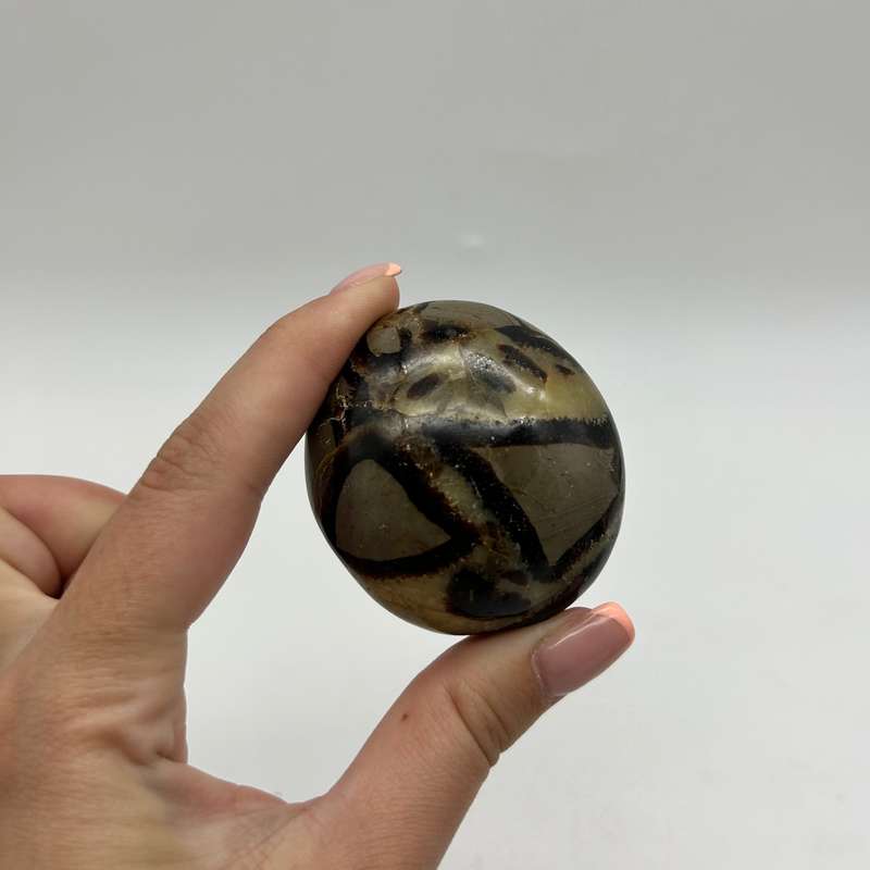 Septerye Palm Piece
