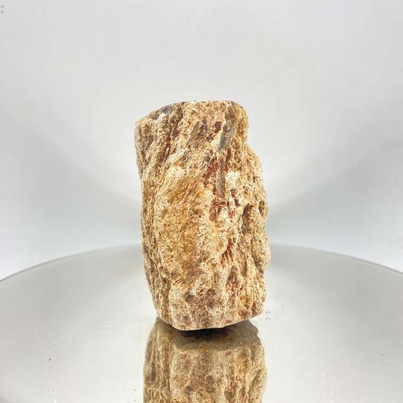 Petrified Wood