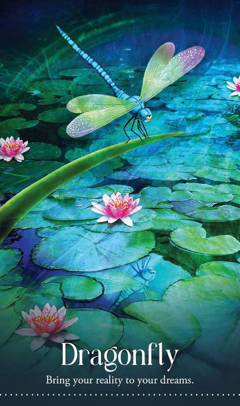 Wild Dreams Animal Oracle by Kelly Sullivan Walden