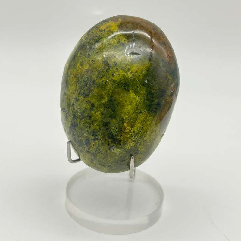 Green Opal Palm Stone From Madagascar