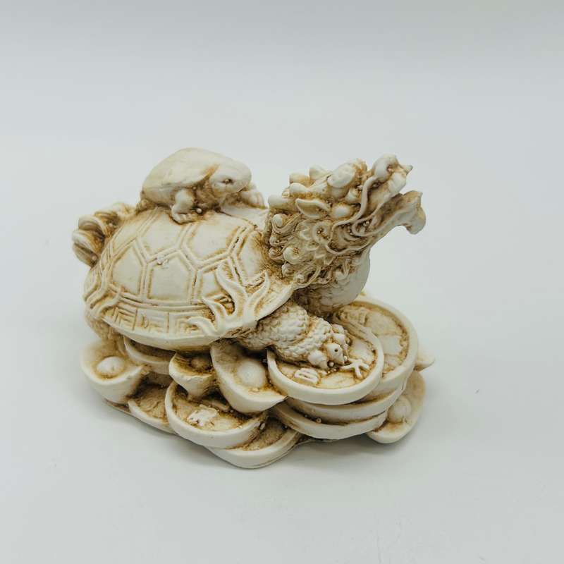 White Dragon Tortoise Small