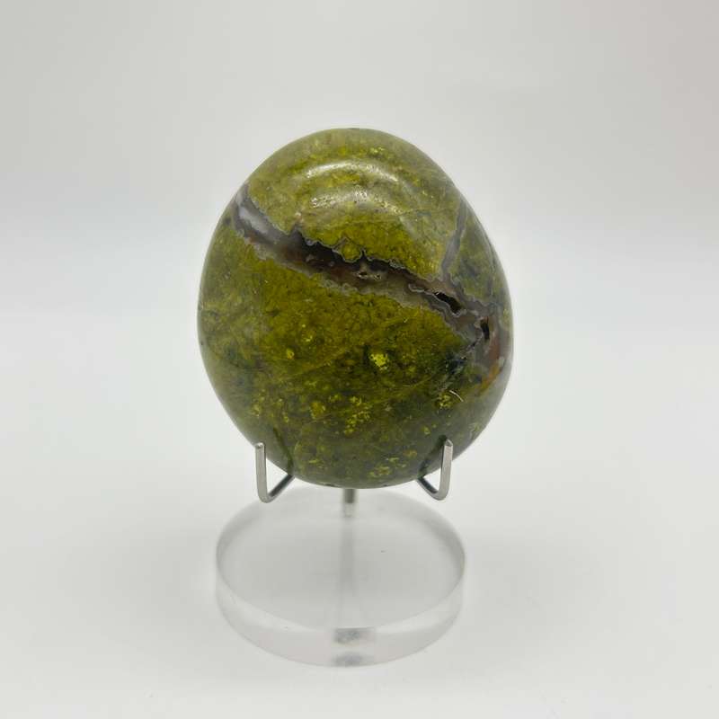Green Opal Palm Stone From Madagascar