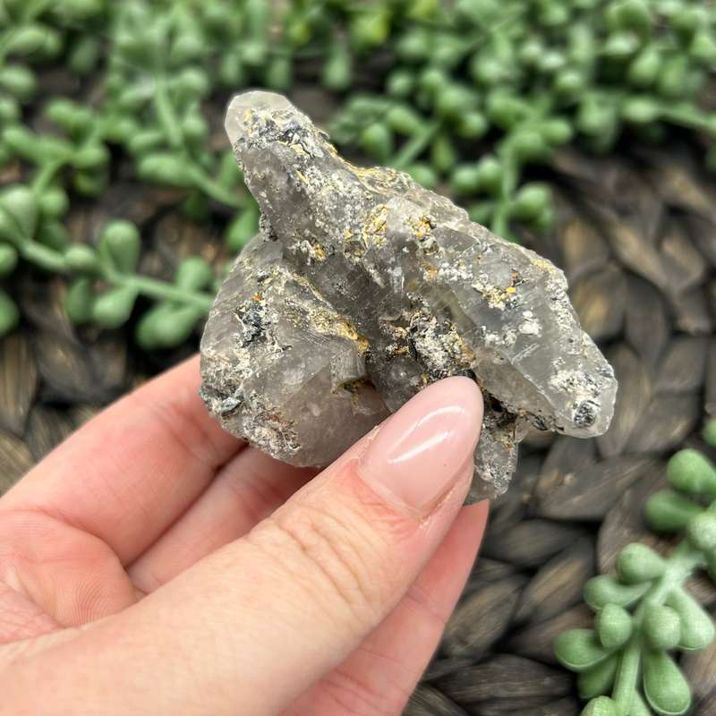 Witches Finger