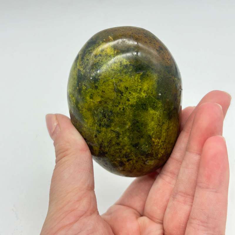 Green Opal Palm Stone From Madagascar