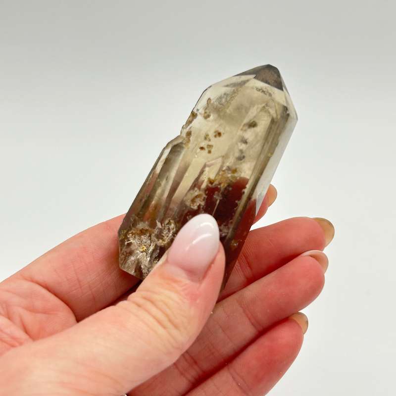 Tabby Dolphin Smoky Quartz