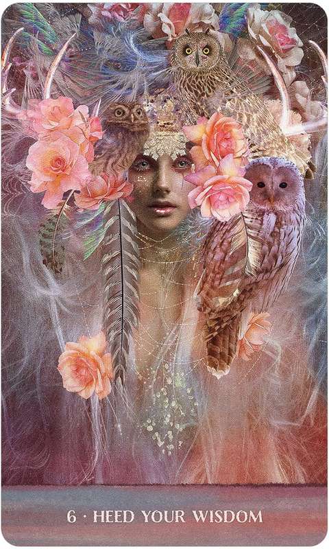 Wild Woman Rising Cards by Angi Sullins