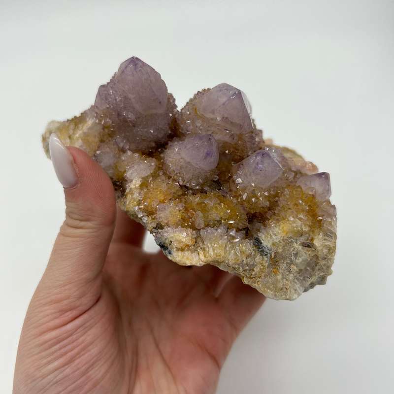 Ametrine Cactus Quartz Cluster