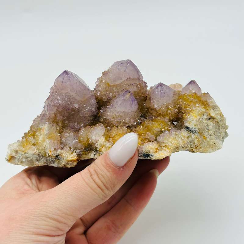 Ametrine Cactus Quartz Cluster