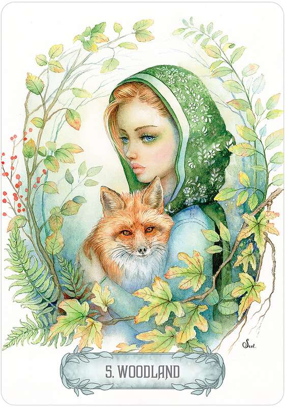 Oracle of Light & Dreams by Scot Howden