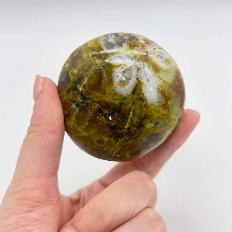 Green Opal Palm Stone From Madagascar