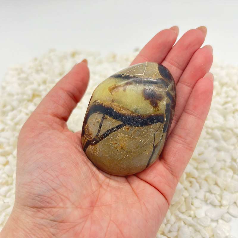Septarian Crystal Galei