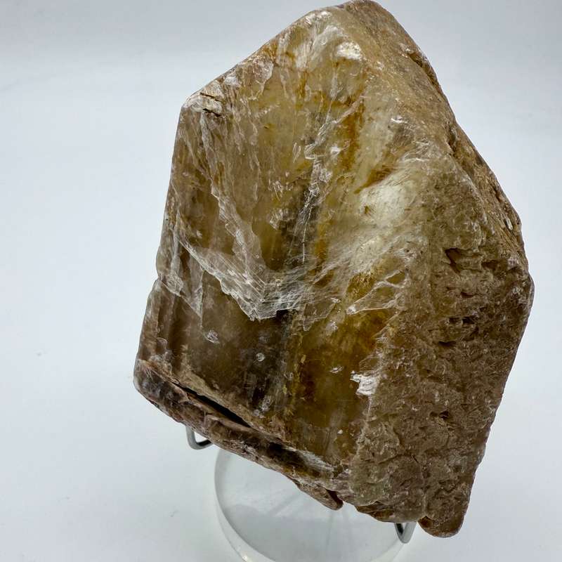 Fishtail Selenite Quartz Crystal -Africa