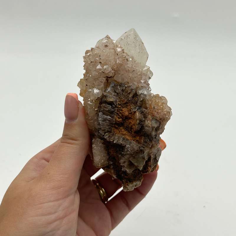 Cactus Quartz - king white cluster with Smoky Quartz tinges - red hematite and golden healer