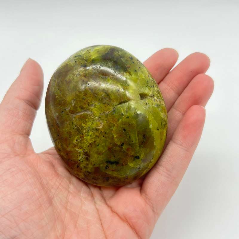 Green Opal Palm Stone From Madagascar