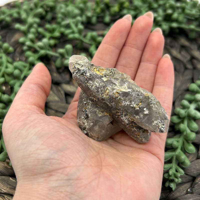 Witches Finger