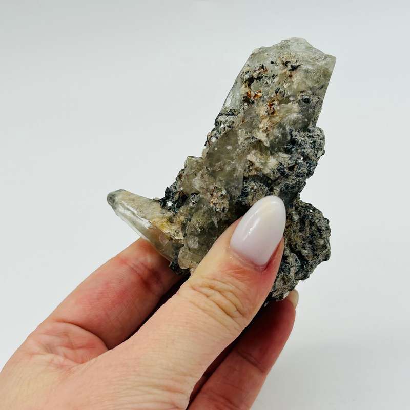 Witches Finger Elestial