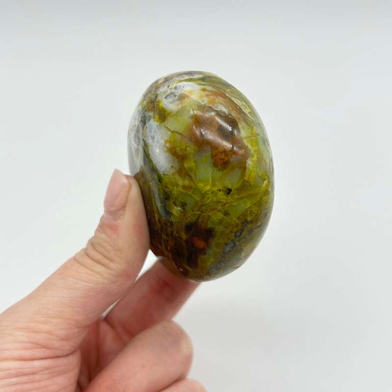 Green Opal Palm Stone From Madagascar