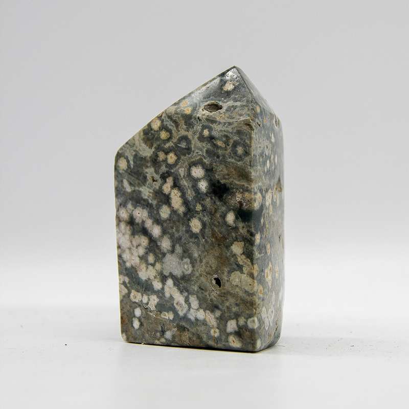 Orbicular Jasper Crystal