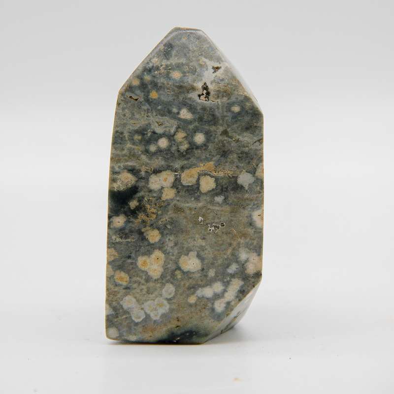 Orbicular Jasper Crystal