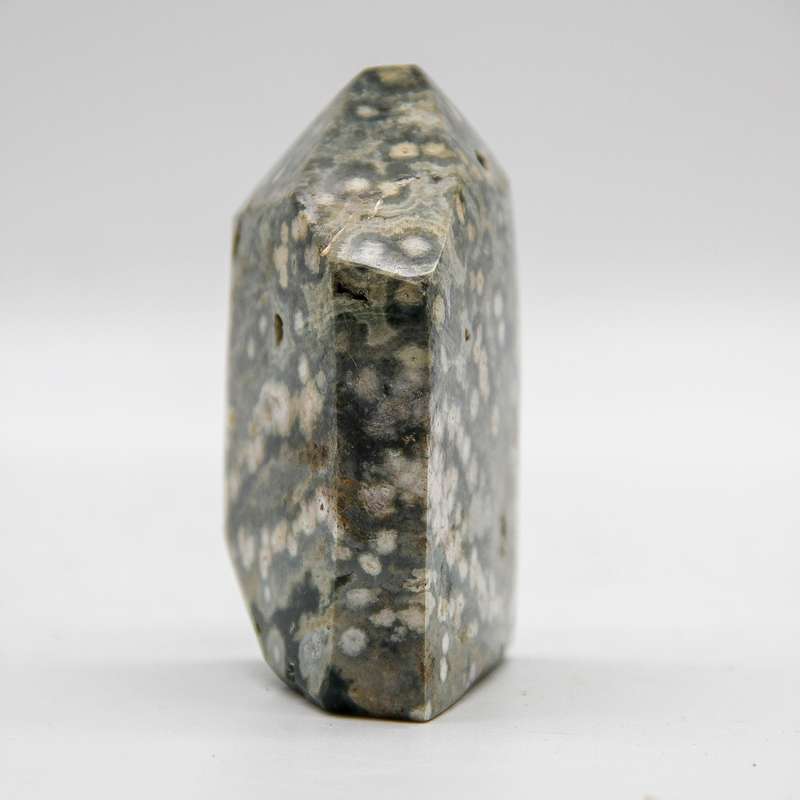 Orbicular Jasper Crystal