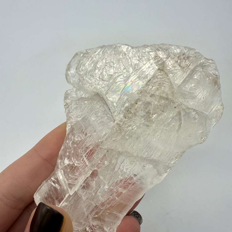 Fishtail Selenite Quartz Crystal -Africa