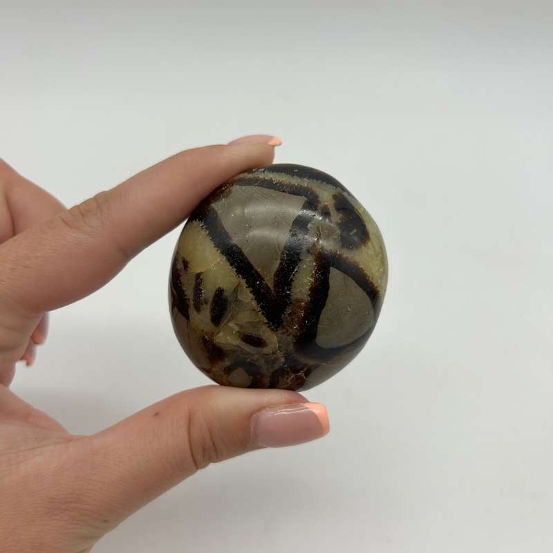 Septerye Palm Piece